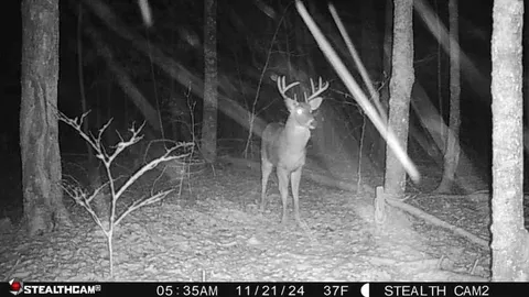 $410,000 | W2069 Elk Court, Montello, WI 53949