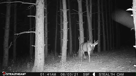 $410,000 | W2069 Elk Court, Montello, WI 53949