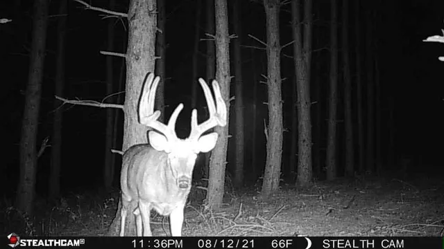 $420,000 | W2069 Elk Court, Montello, WI 53949