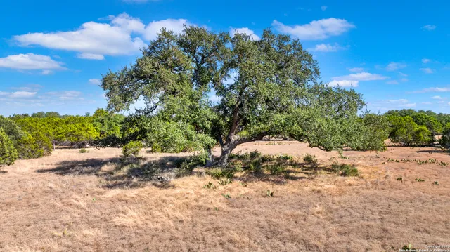 a view of a dry yard