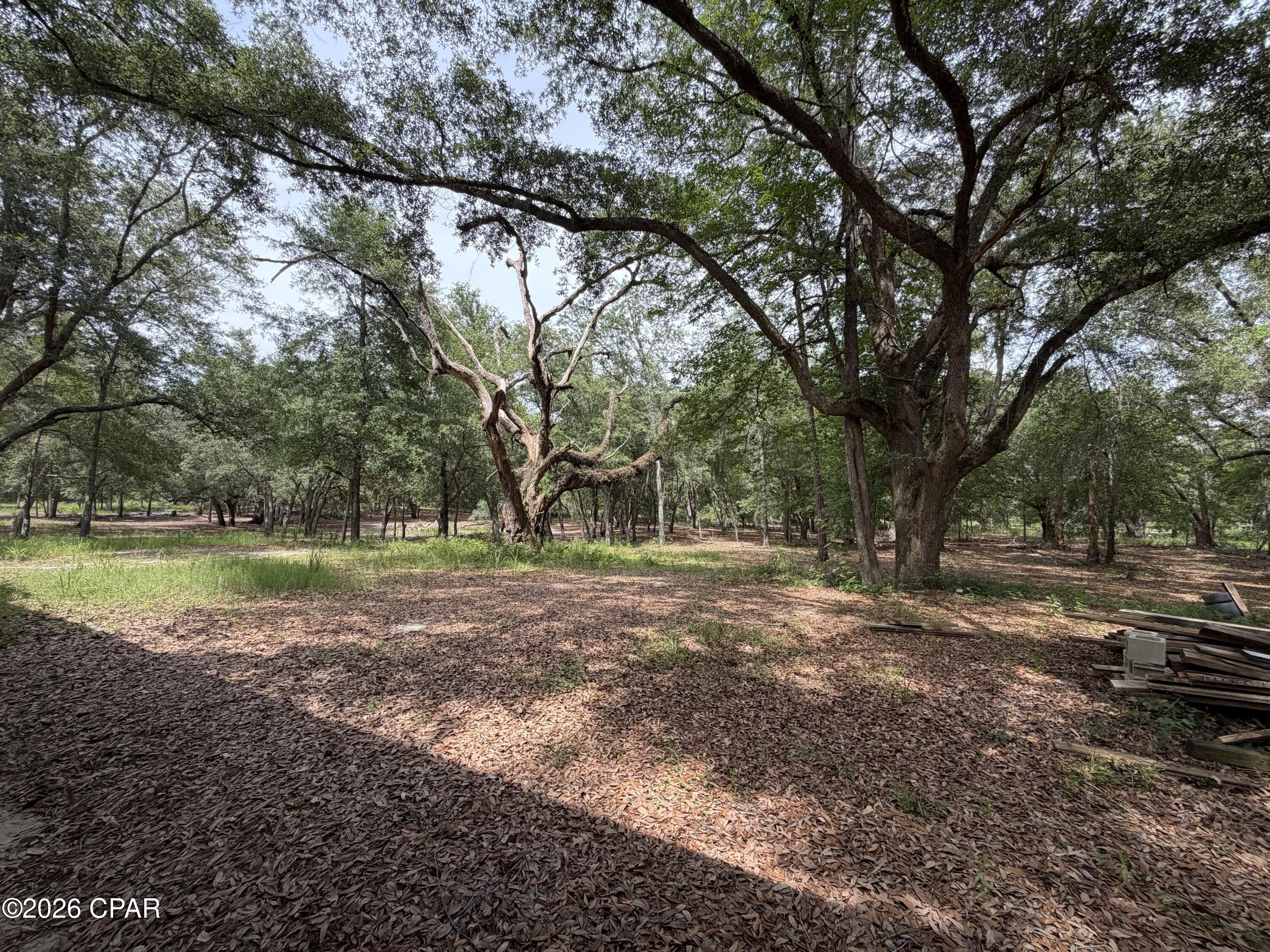 4304 Thunder Road Sneads, FL 32460 - Photo 23 of 27