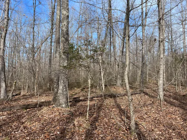 $70,000 | 1480 County Road 814, Higdon, AL 35979