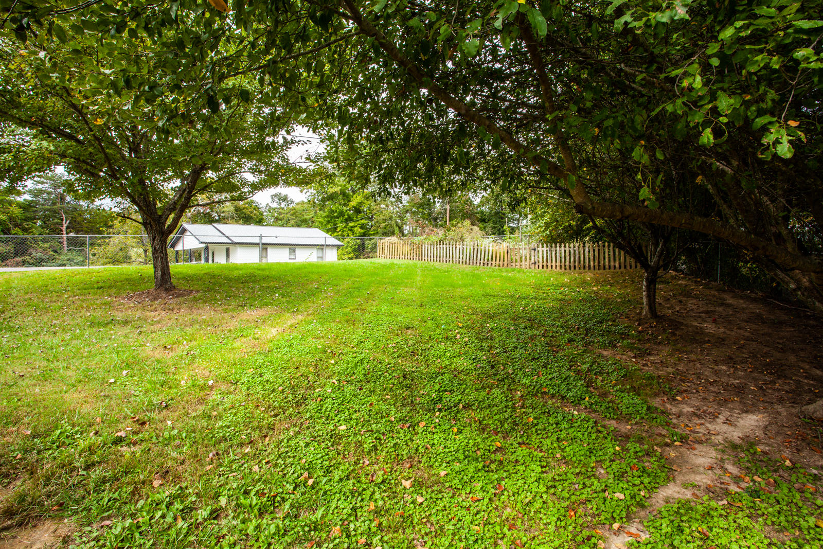 7800 Griffith Road Knoxville, TN 37938 - Photo 23 of 24 yard