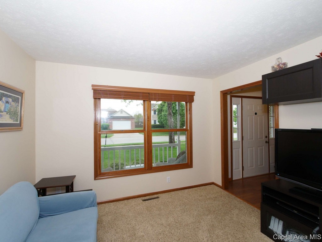 2733 Cronin Drive Springfield, IL 62711 - Photo 16 of 24 Gallery Image 16