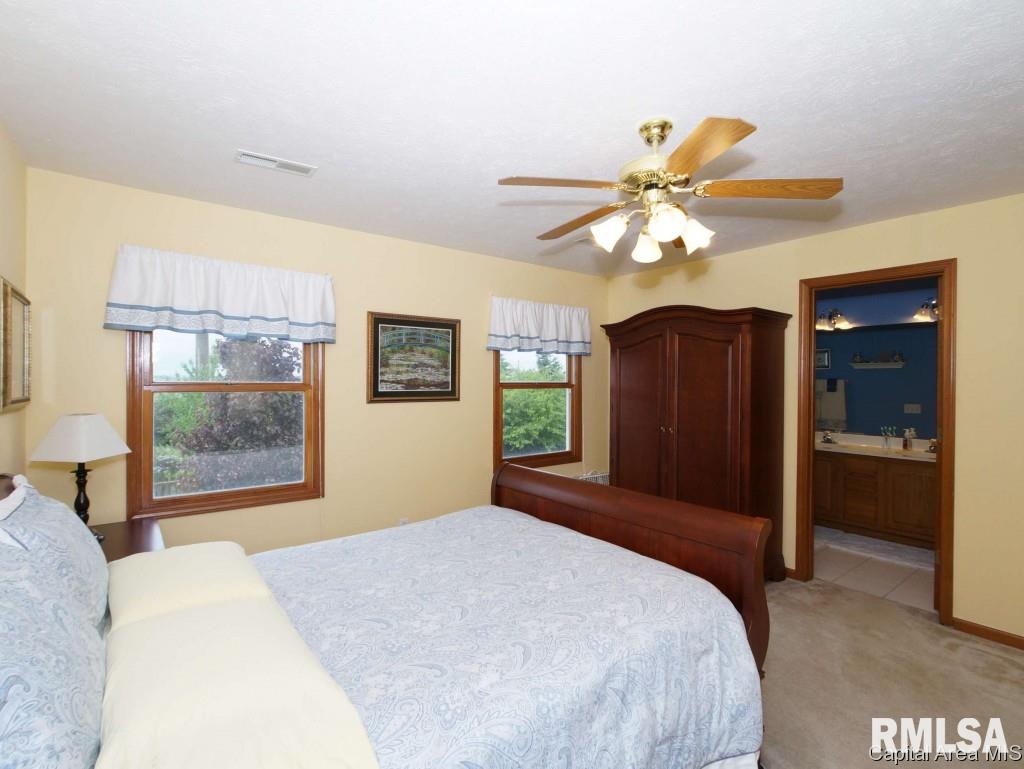 2733 Cronin Drive Springfield, IL 62711 - Photo 20 of 24 Gallery Image 20