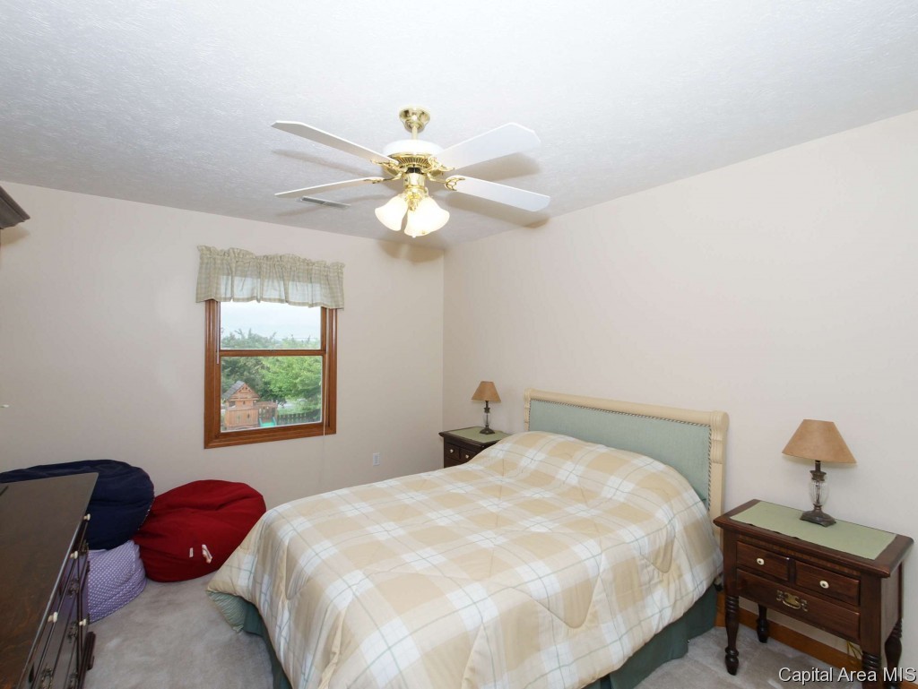 2733 Cronin Drive Springfield, IL 62711 - Photo 21 of 24 Gallery Image 21