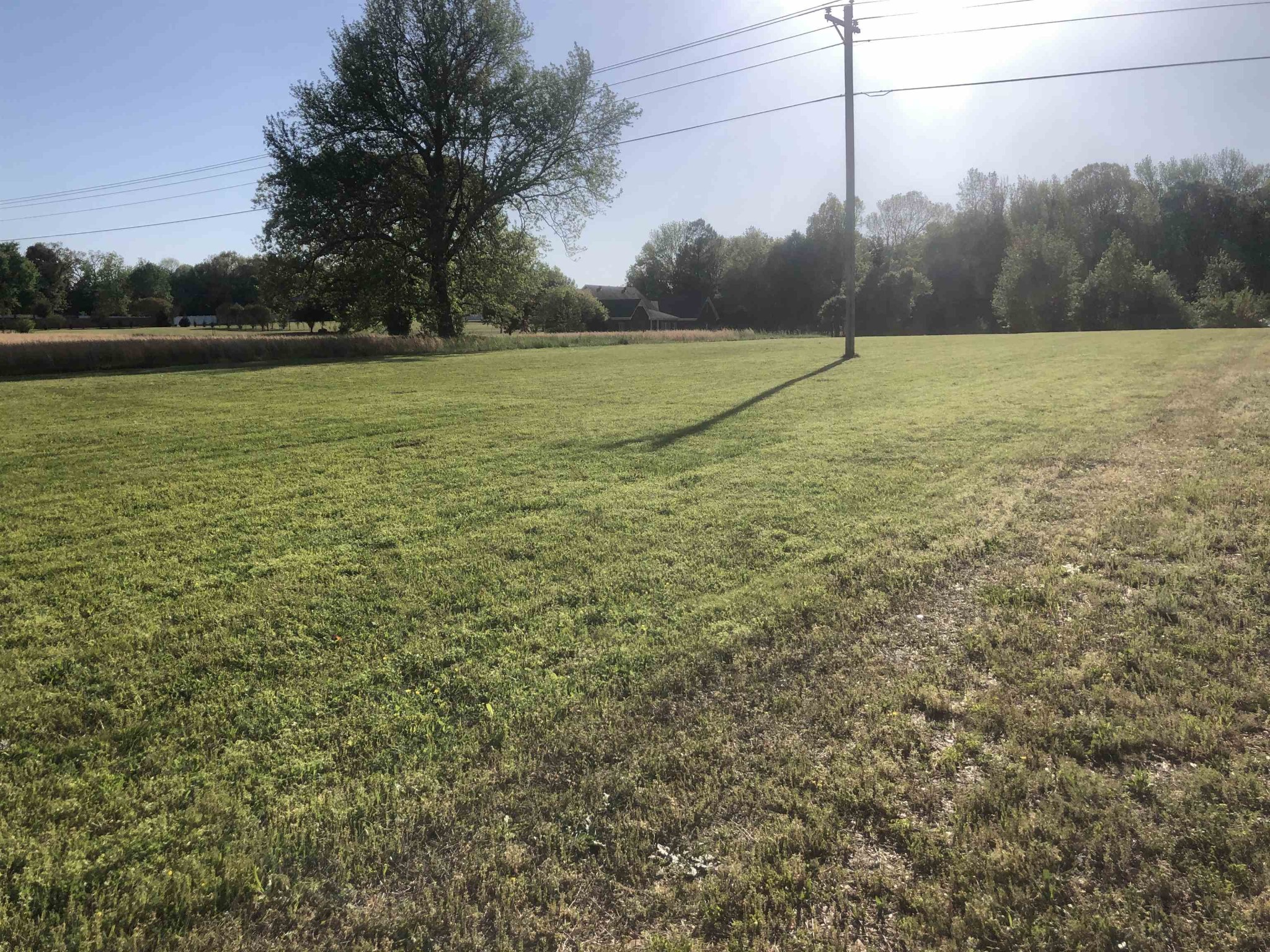 0 Cravens Road Savannah, TN 38372 - Photo 2 of 6