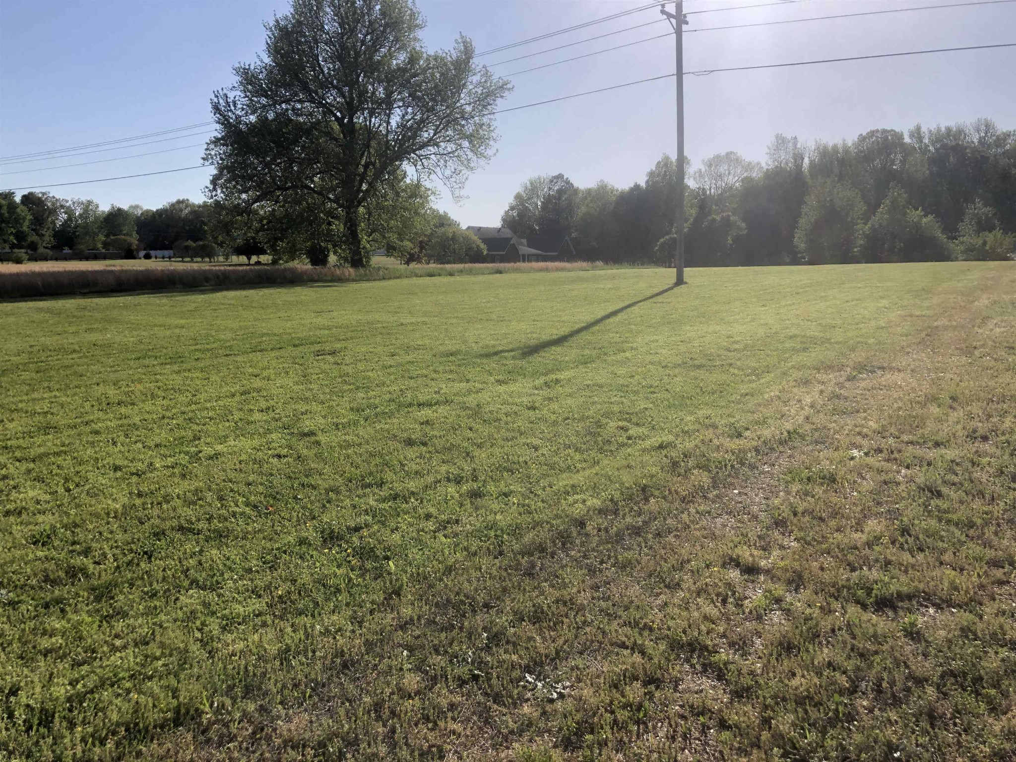 0 Cravens Road Savannah, TN 38372 - Photo 3 of 6
