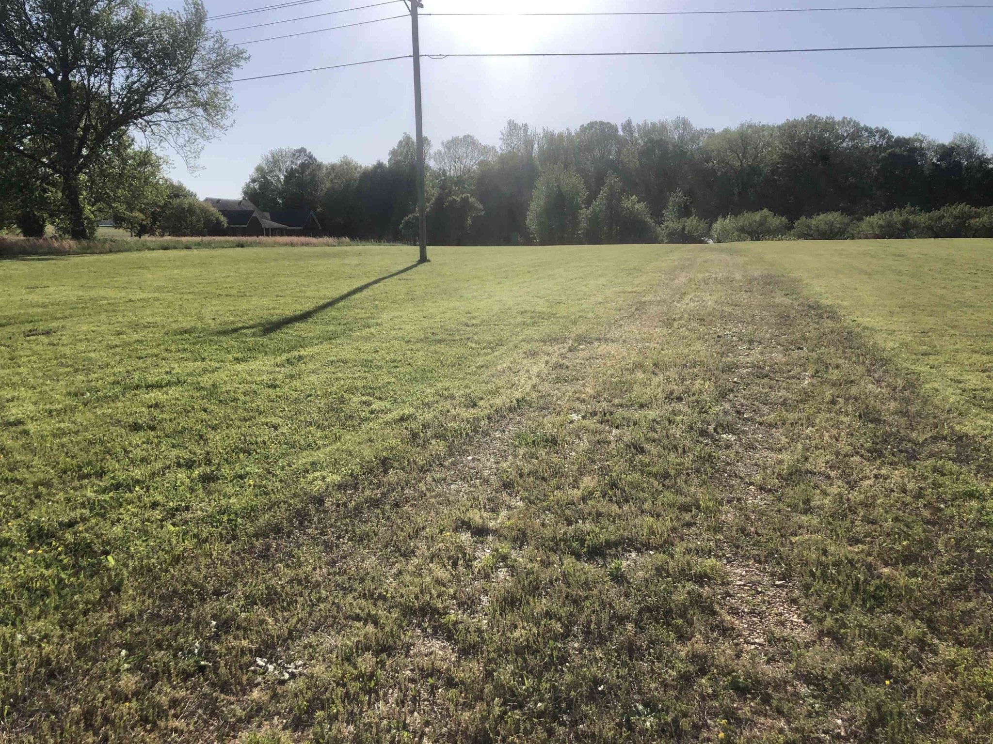 0 Cravens Road Savannah, TN 38372 - Photo 4 of 6