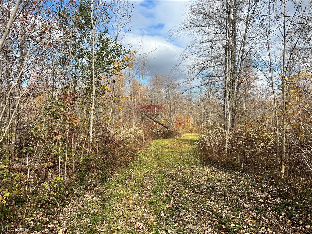 6 Us Route Pierpont, OH 44082 - Photo 12 of 32 View of mother earth's splendor