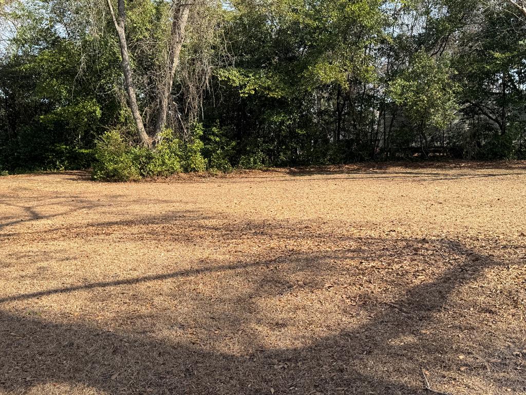 4367 Old Macon Road Columbus, GA 31907 - Photo 6 of 32 a view of beach and ocean