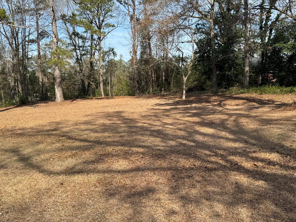 4367 Old Macon Road Columbus, GA 31907 - Photo 7 of 32 a view of a house with a snow