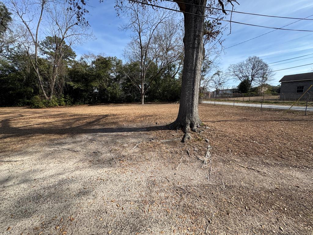 4367 Old Macon Road Columbus, GA 31907 - Photo 10 of 32 a view of a yard with large trees