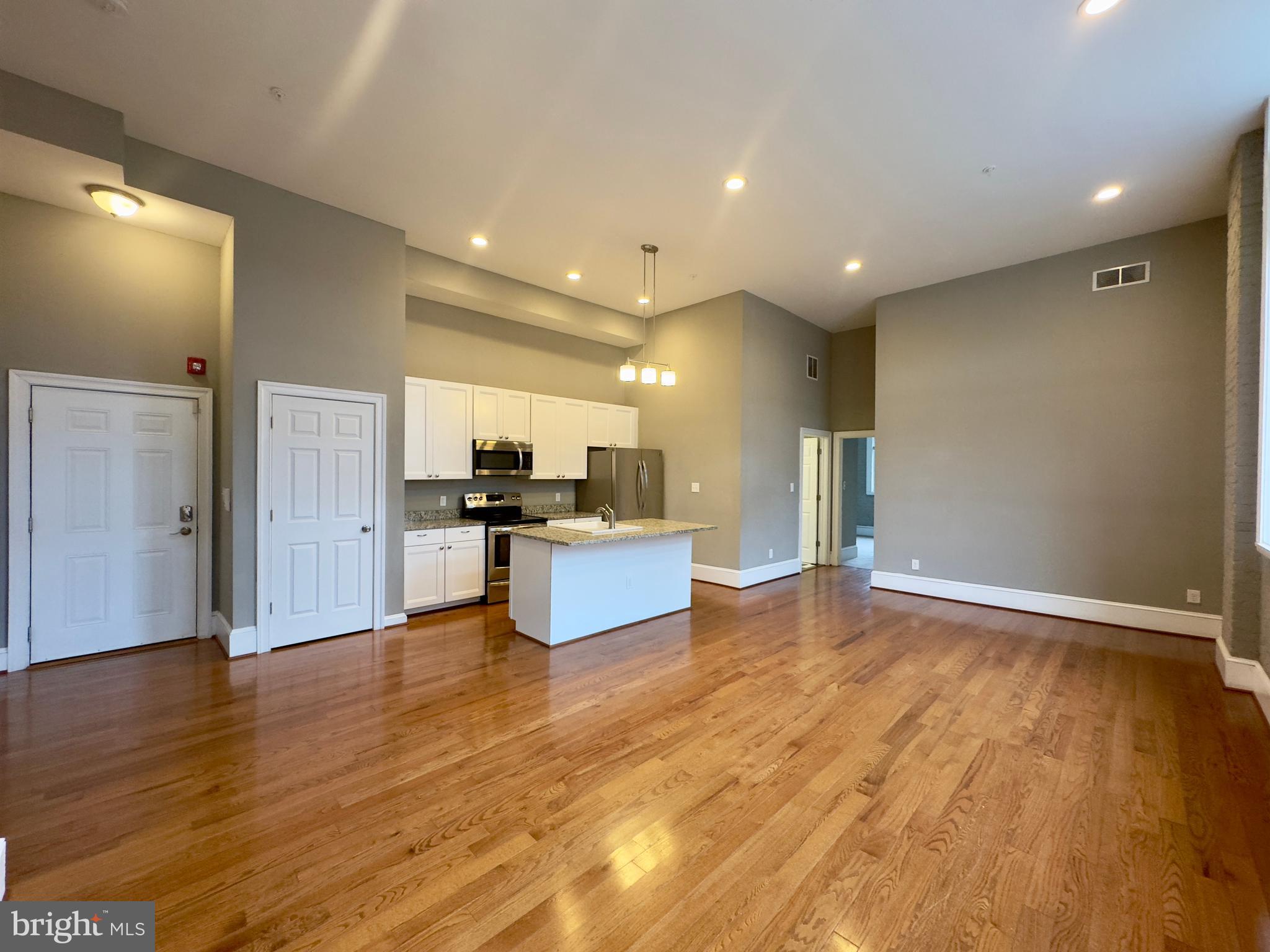 7 West Mulberry Street, Unit 7 Baltimore, MD 21201 - Photo 3 of 16 a view of kitchen with kitchen island granite countertop wooden floor and stainless steel appliances