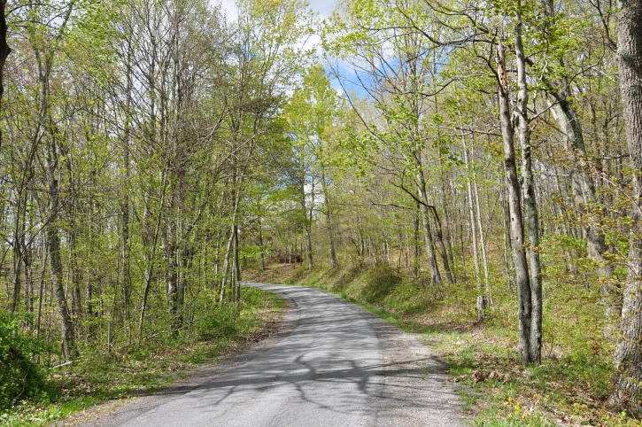100 Lon Martin Road Meadow Bridge, WV 25976 - Photo 1 of 9 Gallery Image 1