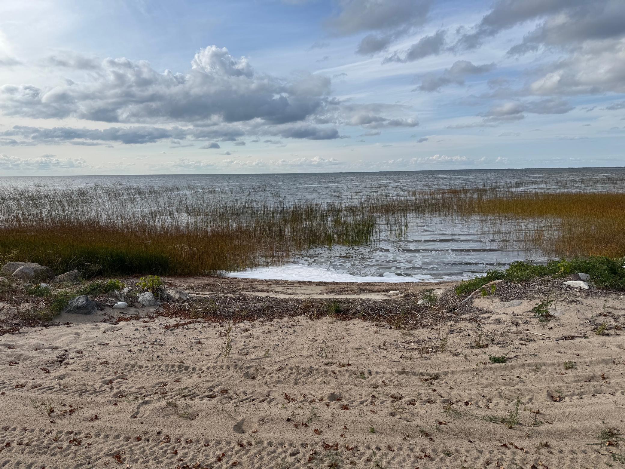 53401 Arbor Bridge Road Northeast Waskish, MN 56685 - Photo 12 of 75