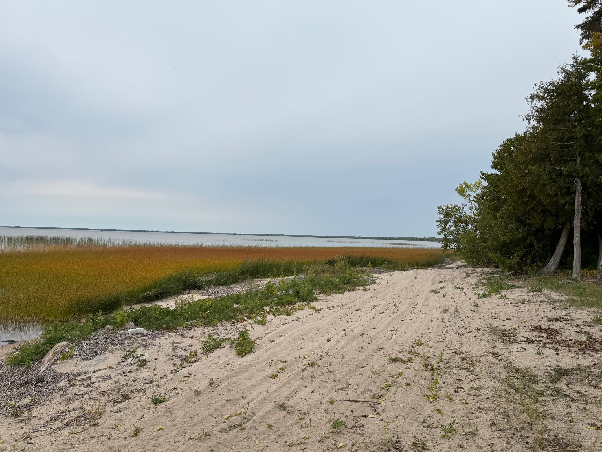 53401 Arbor Bridge Road Northeast Waskish, MN 56685 - Photo 14 of 75