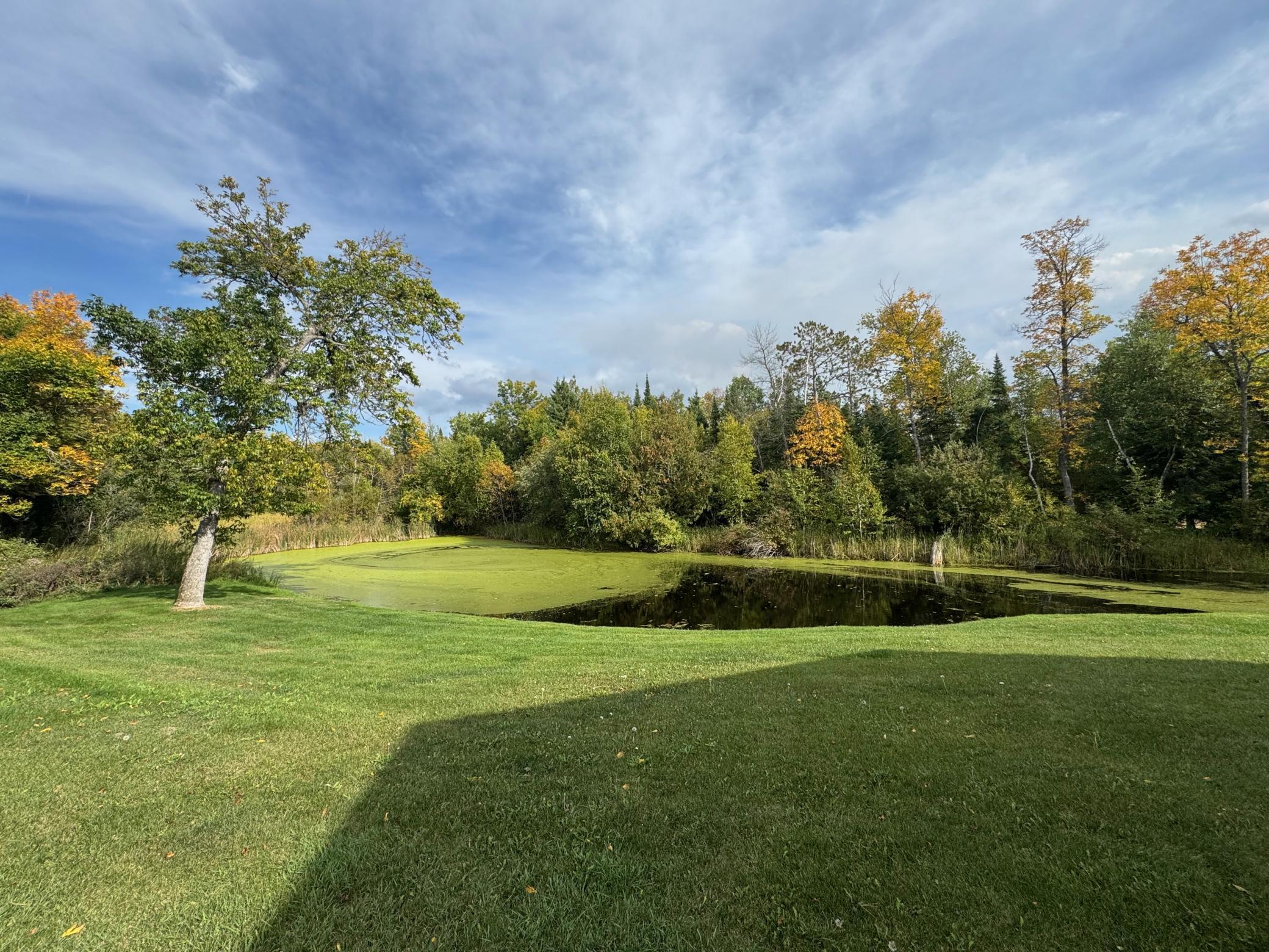 53401 Arbor Bridge Road Northeast Waskish, MN 56685 - Photo 6 of 75