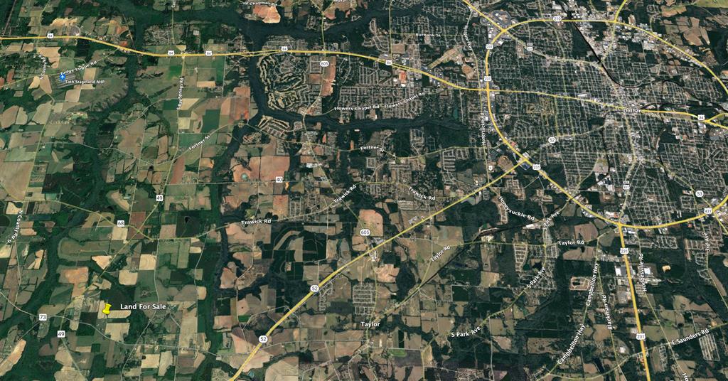 3.17-acres Summer Road Slocomb, AL 36375 - Photo 5 of 5