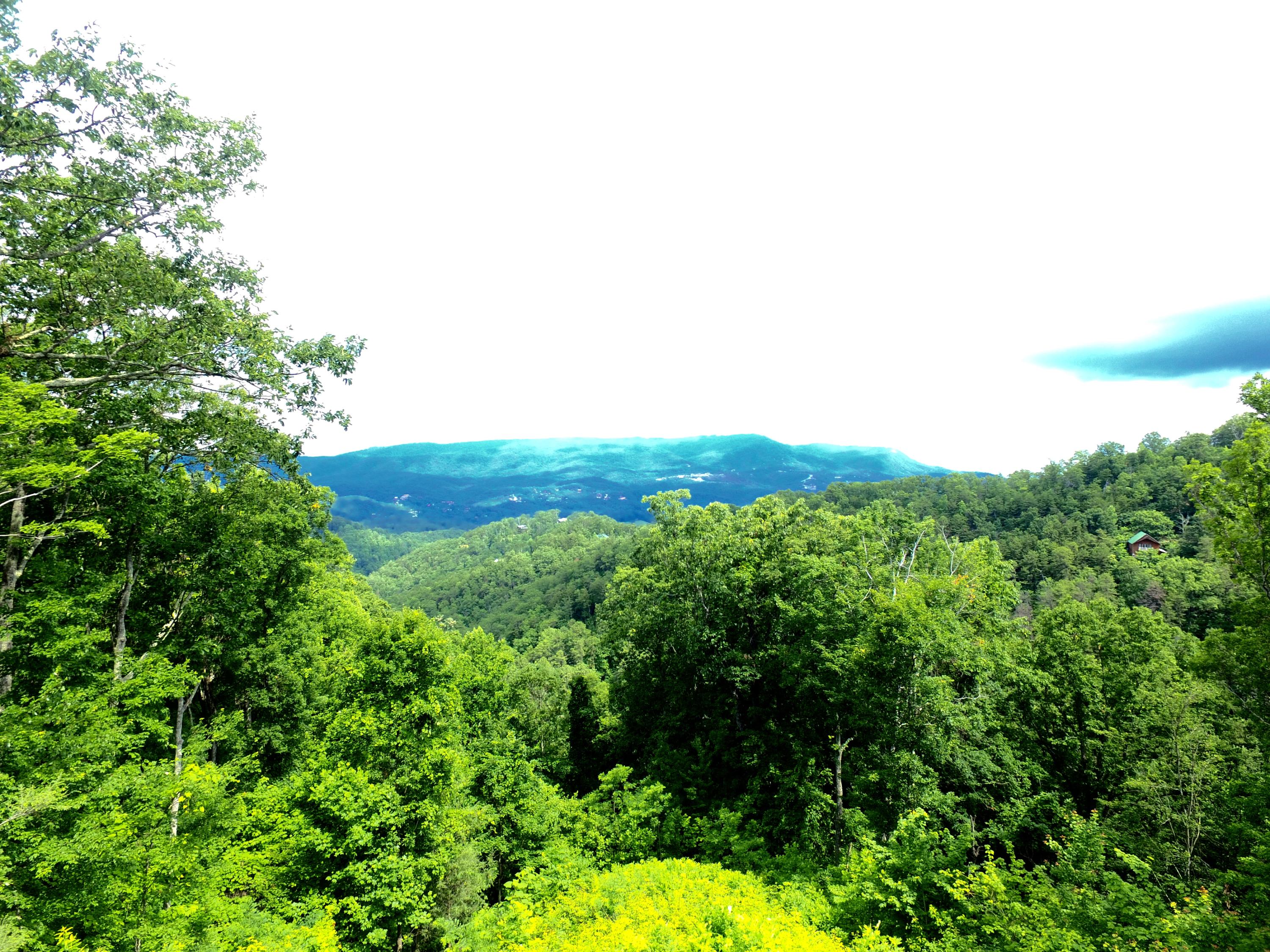 2262 Lone Ridge Drive Sevierville, TN 37862 - Photo 4 of 40 DJI_0021