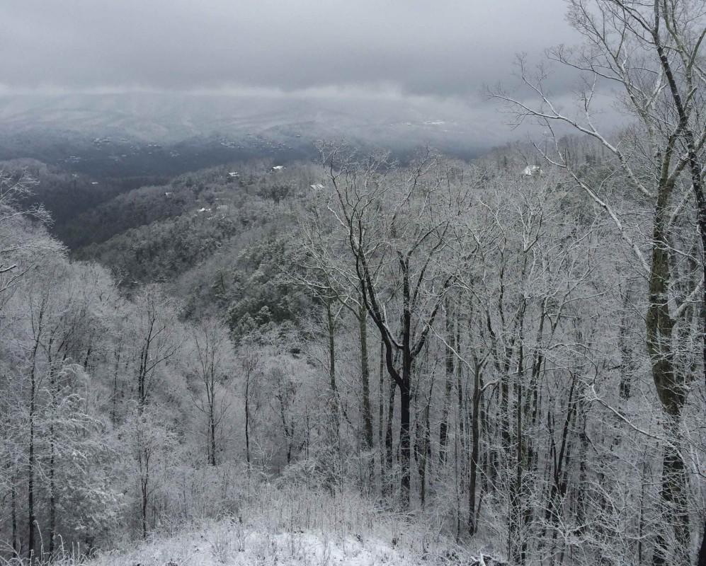 2262 Lone Ridge Drive Sevierville, TN 37862 - Photo 9 of 40 27838