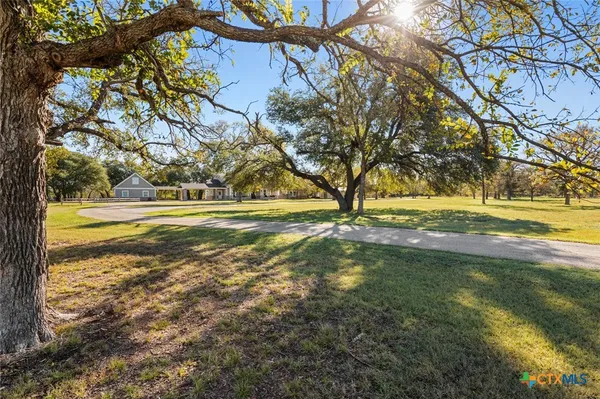 a view of a yard with an trees