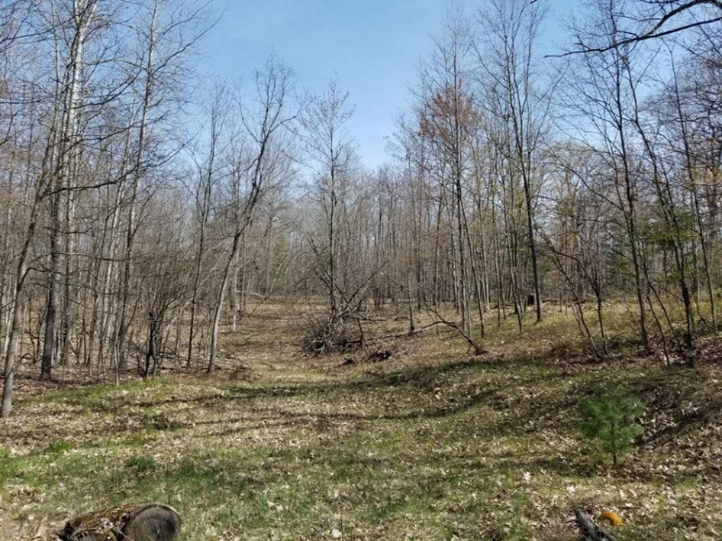 8413 East 8th Street Reed City, MI 49677 - Photo 6 of 10 20190515_163915