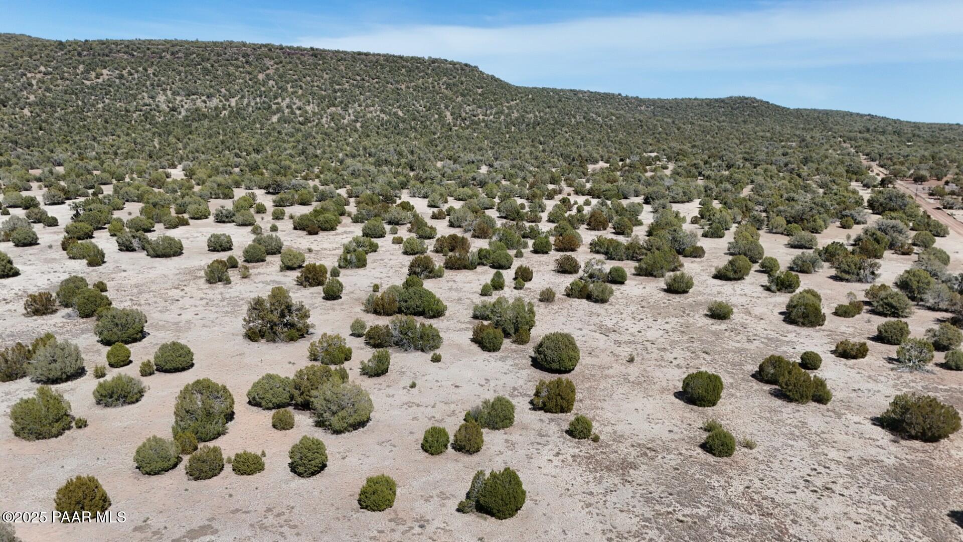 33760 West Cowboy Clint Road Seligman, AZ 86337 - Photo 67 of 94 DJI_20250408053253_0015_D (Large)