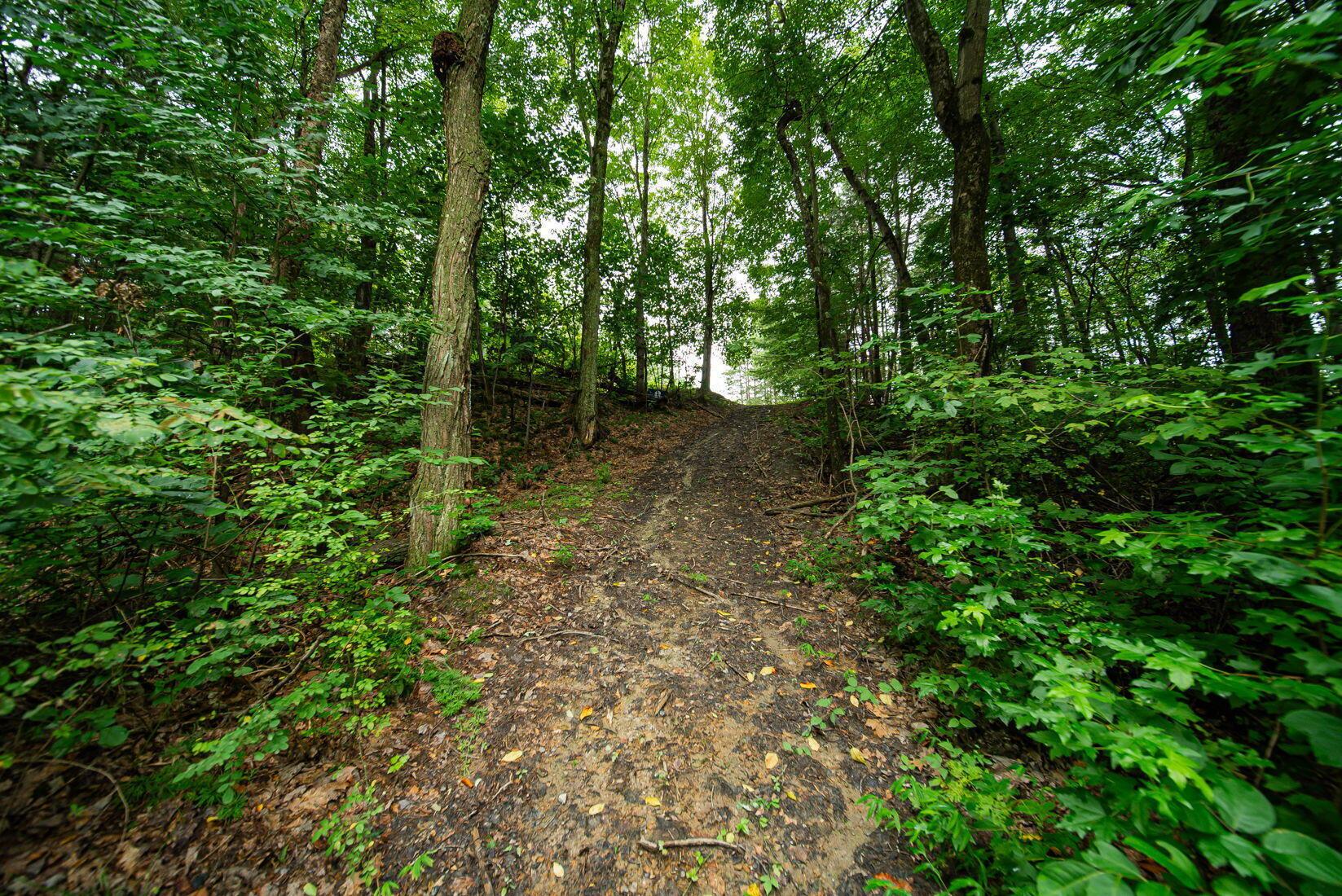 9758 Wesley Chapel Road Mount Perry, OH 43760 - Photo 15 of 43 14-web-or-mls-Todd Burns - 9758 Wesley C