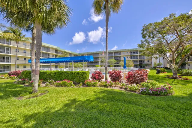 a view of a house with a backyard and plants