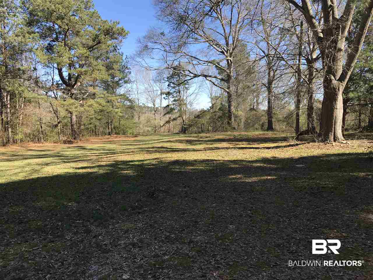 1478 Ridge Road Greenville, AL 36037 - Photo 36 of 50
