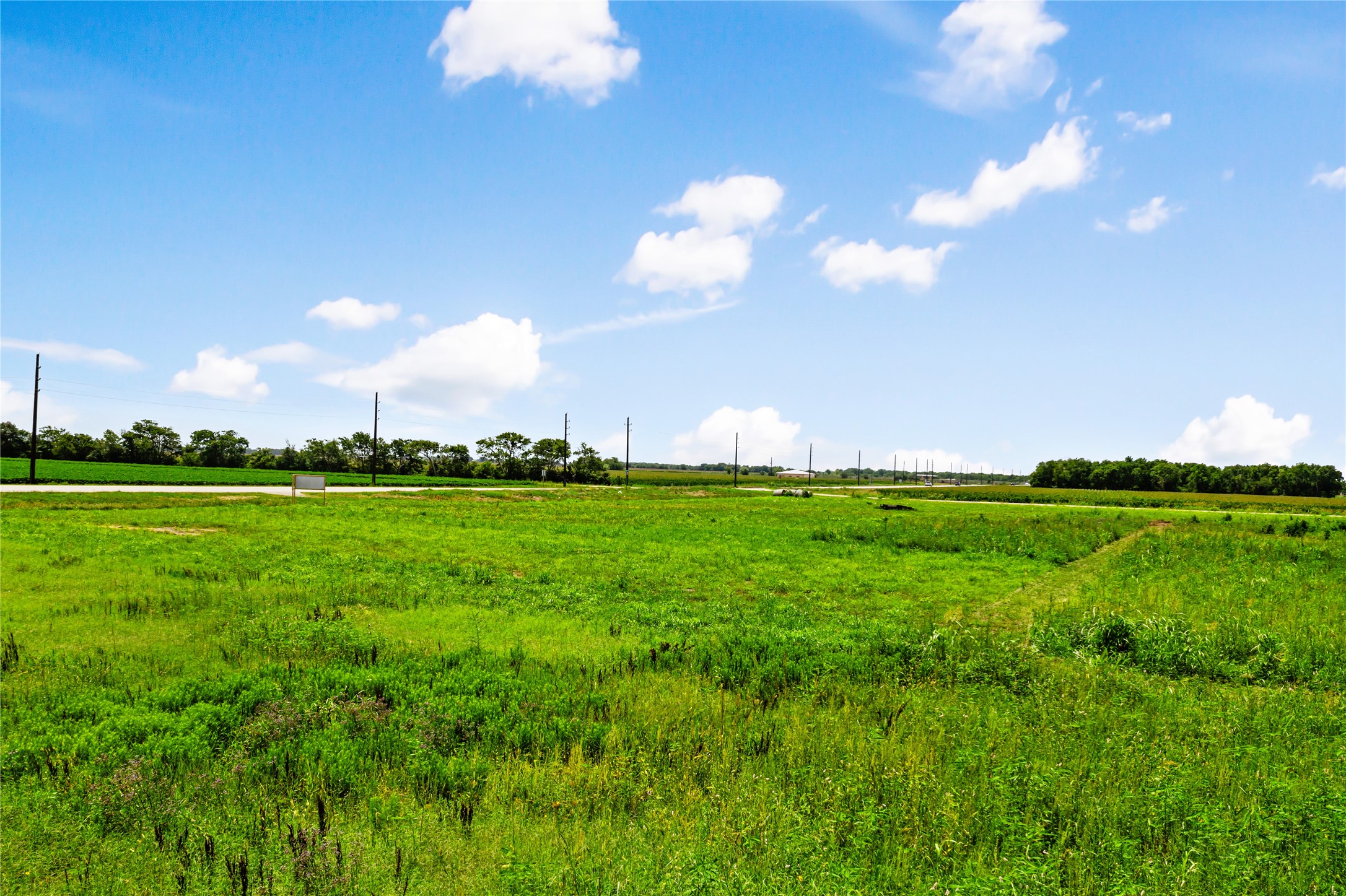0 Tx-10-spur Rosenberg, TX 77471 - Photo 19 of 24 a view of yard with green space
