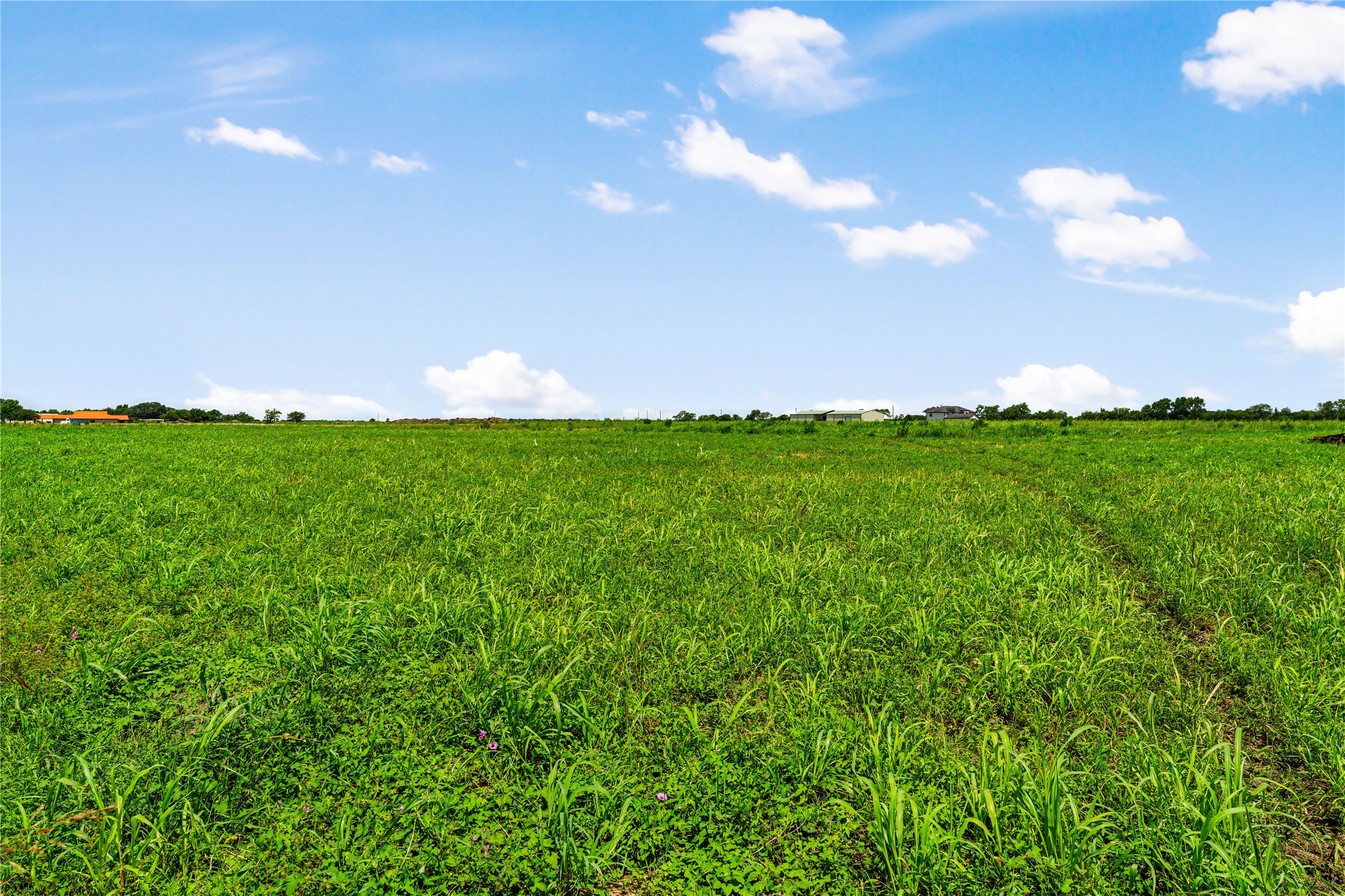 0 Tx-10-spur Rosenberg, TX 77471 - Photo 21 of 24 a view of a big yard with lots of green space and mountain view