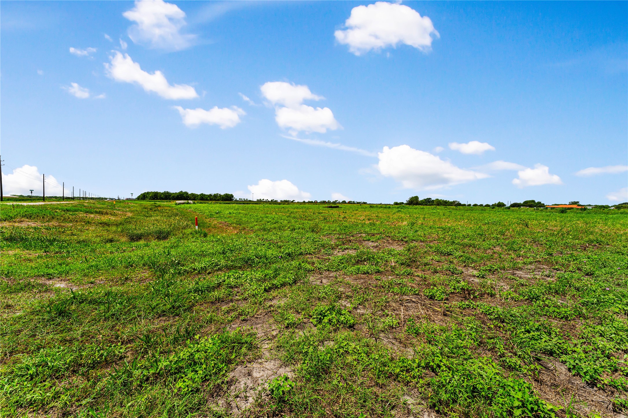 0 Tx-10-spur Rosenberg, TX 77471 - Photo 23 of 24 a view of a lake in middle of forest