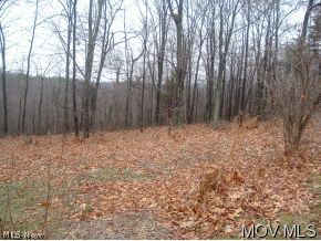 2050 Federal Road Little Hocking, OH 45742 - Photo 4 of 5 7 acres woods