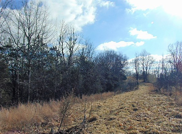2465 Cedar Road Stamping Ground, KY 40379 - Photo 3 of 13 Gallery Image 3