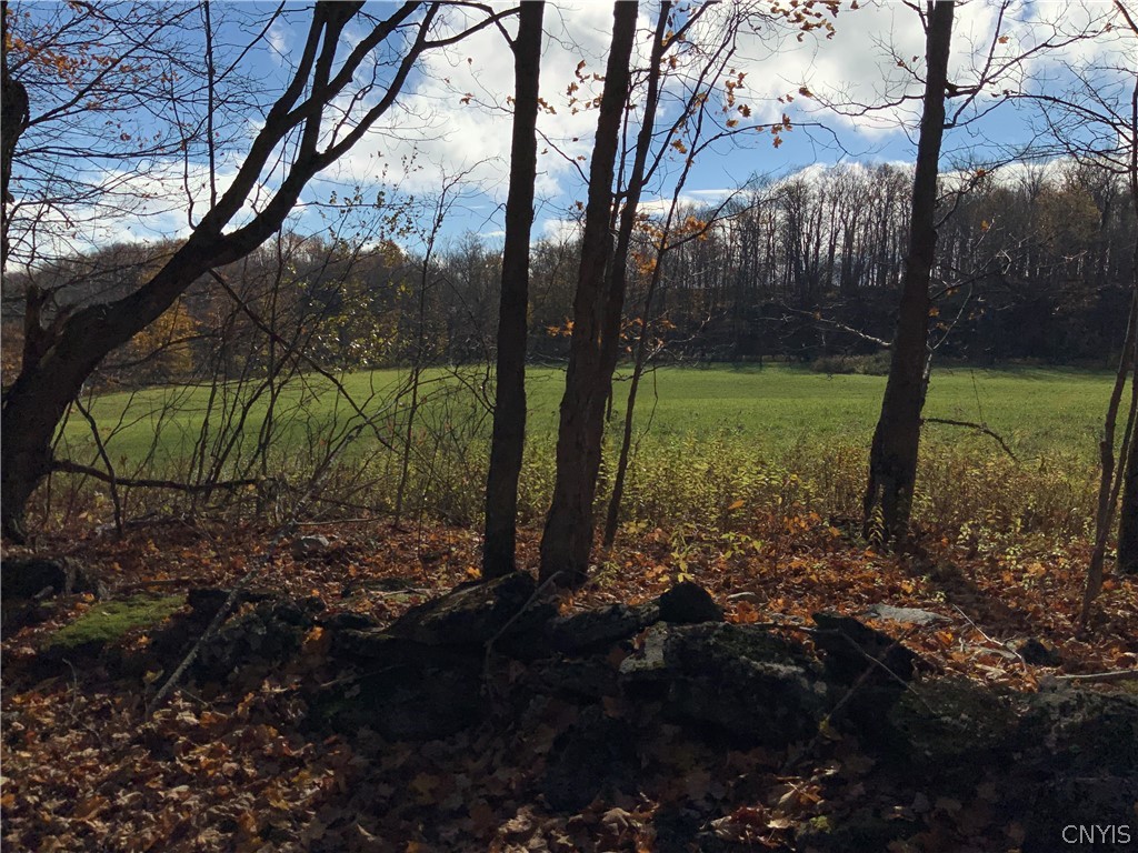 0 Diehl Road Mohawk, NY 13407 - Photo 25 of 49