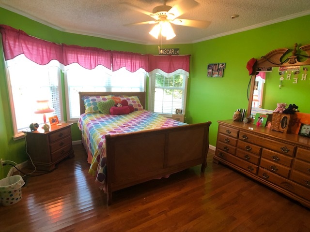 361 North Liberty Road Michie, TN 38357 - Photo 16 of 25 Gallery Image 16