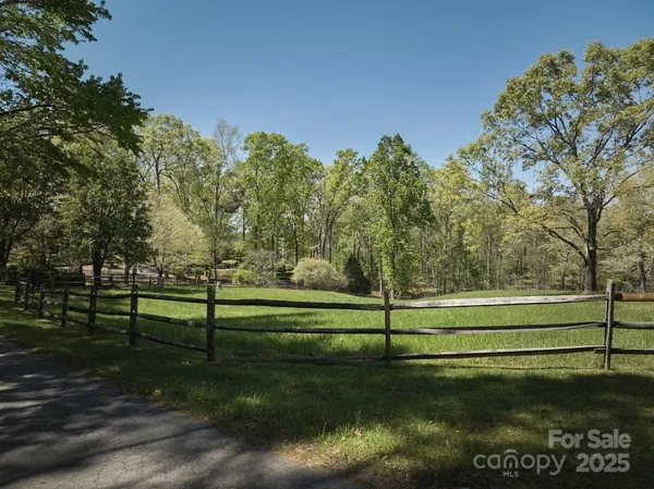 a view of a dry yard covered with trees