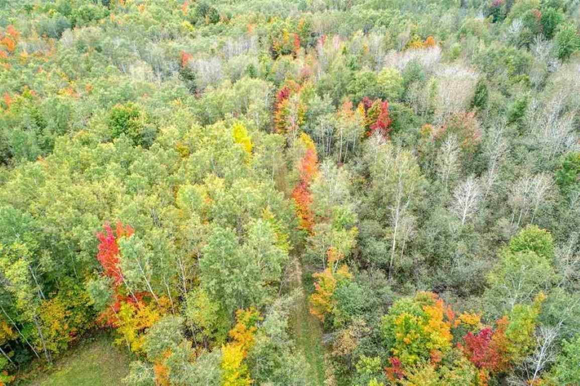 11661 Northeast County Line Road Clare, MI 48617 - Photo 46 of 75