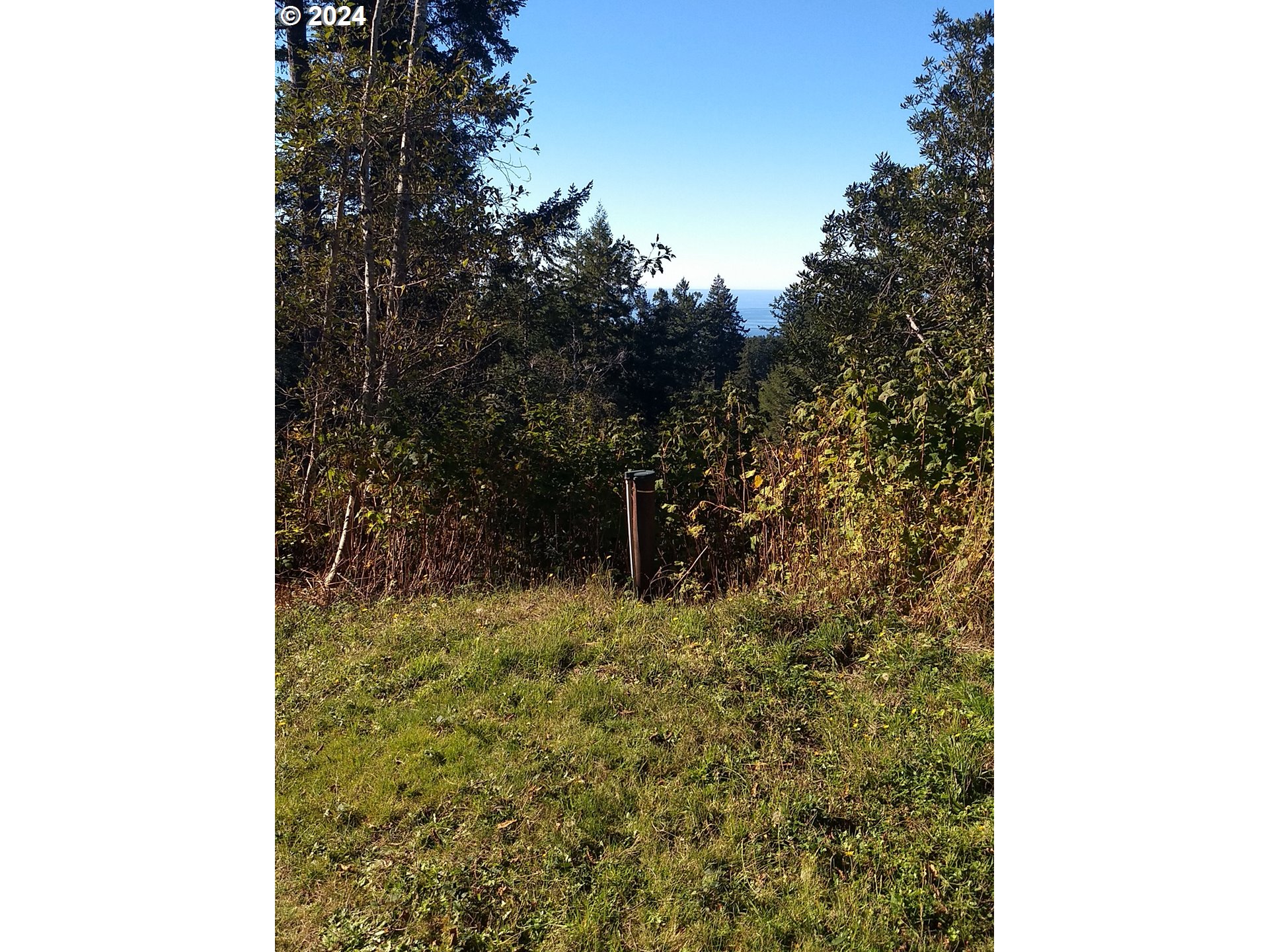 Rhody Drive, Unit 600 Brookings, OR 97415 - Photo 3 of 12