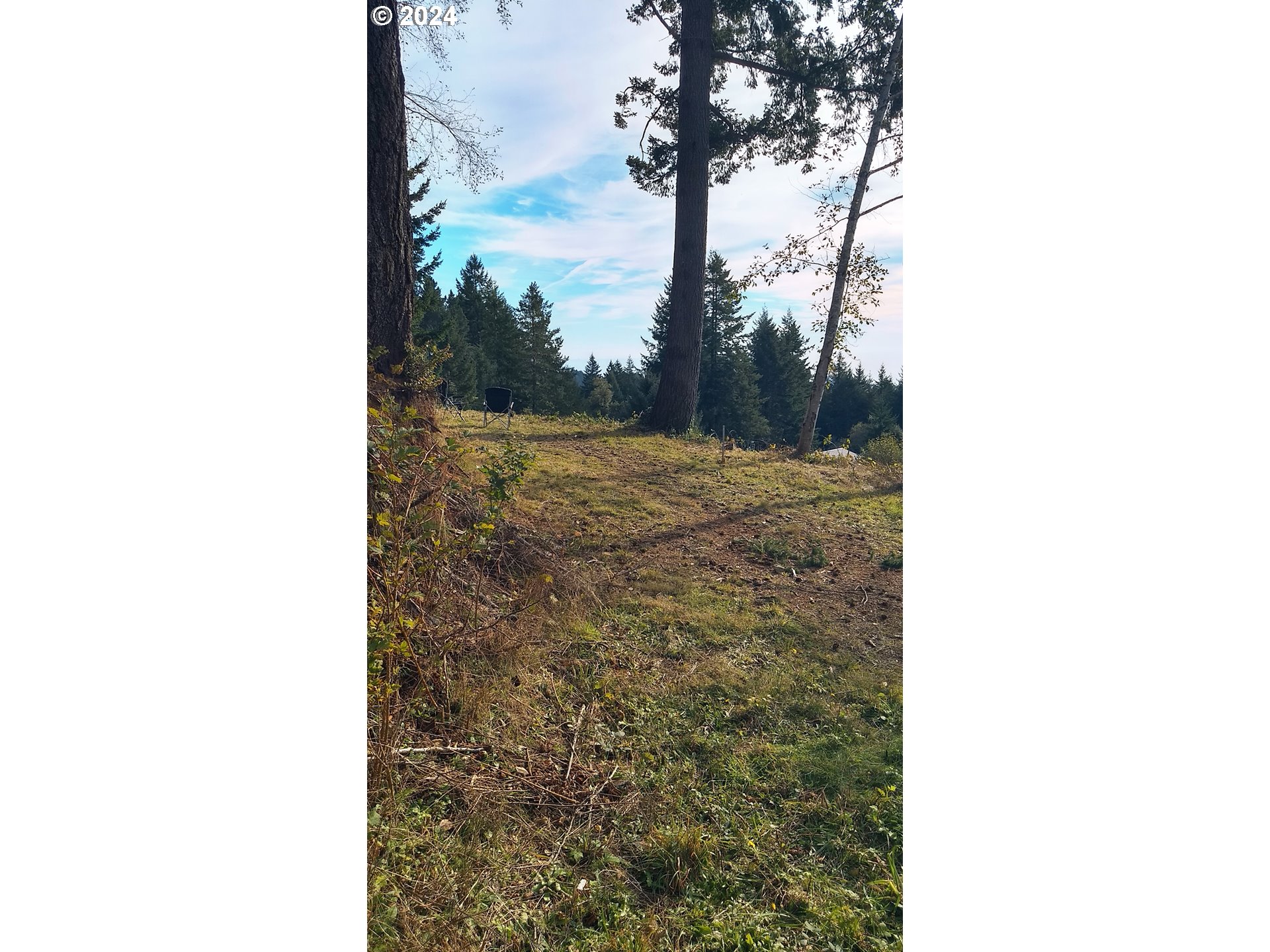 Rhody Drive, Unit 600 Brookings, OR 97415 - Photo 4 of 12 a picture of a tree