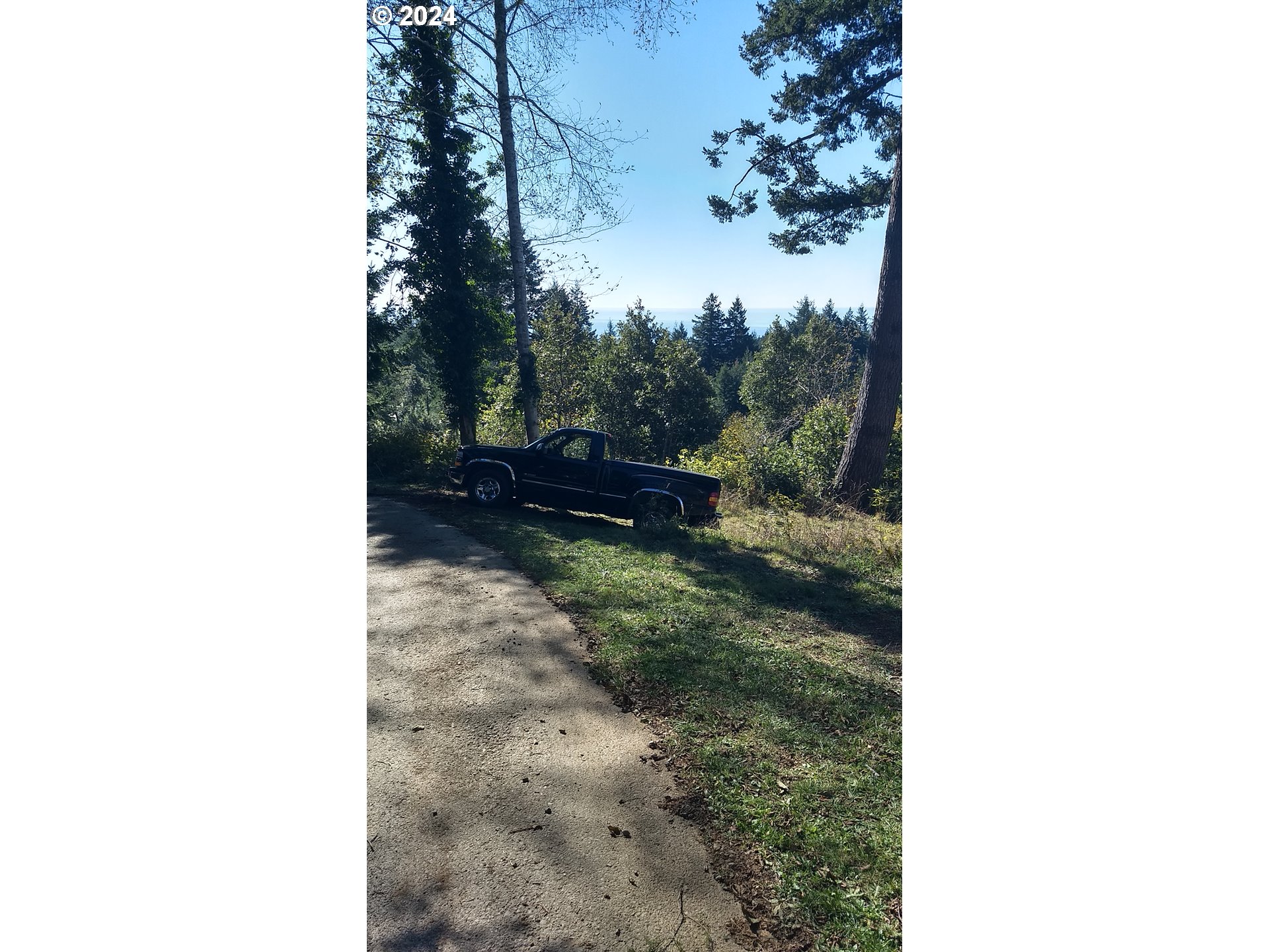 Rhody Drive, Unit 600 Brookings, OR 97415 - Photo 7 of 12 a view of a yard with a tree