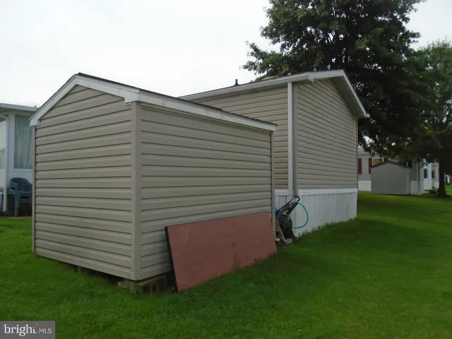 a view of a backyard with plants and large tree