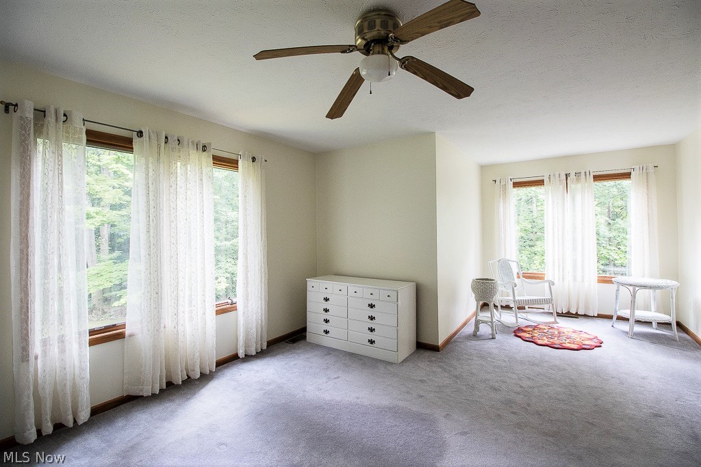 14031 Ford Road Madison, OH 44057 - Photo 20 of 35 Spacious 4th Bedroom on 2nd level