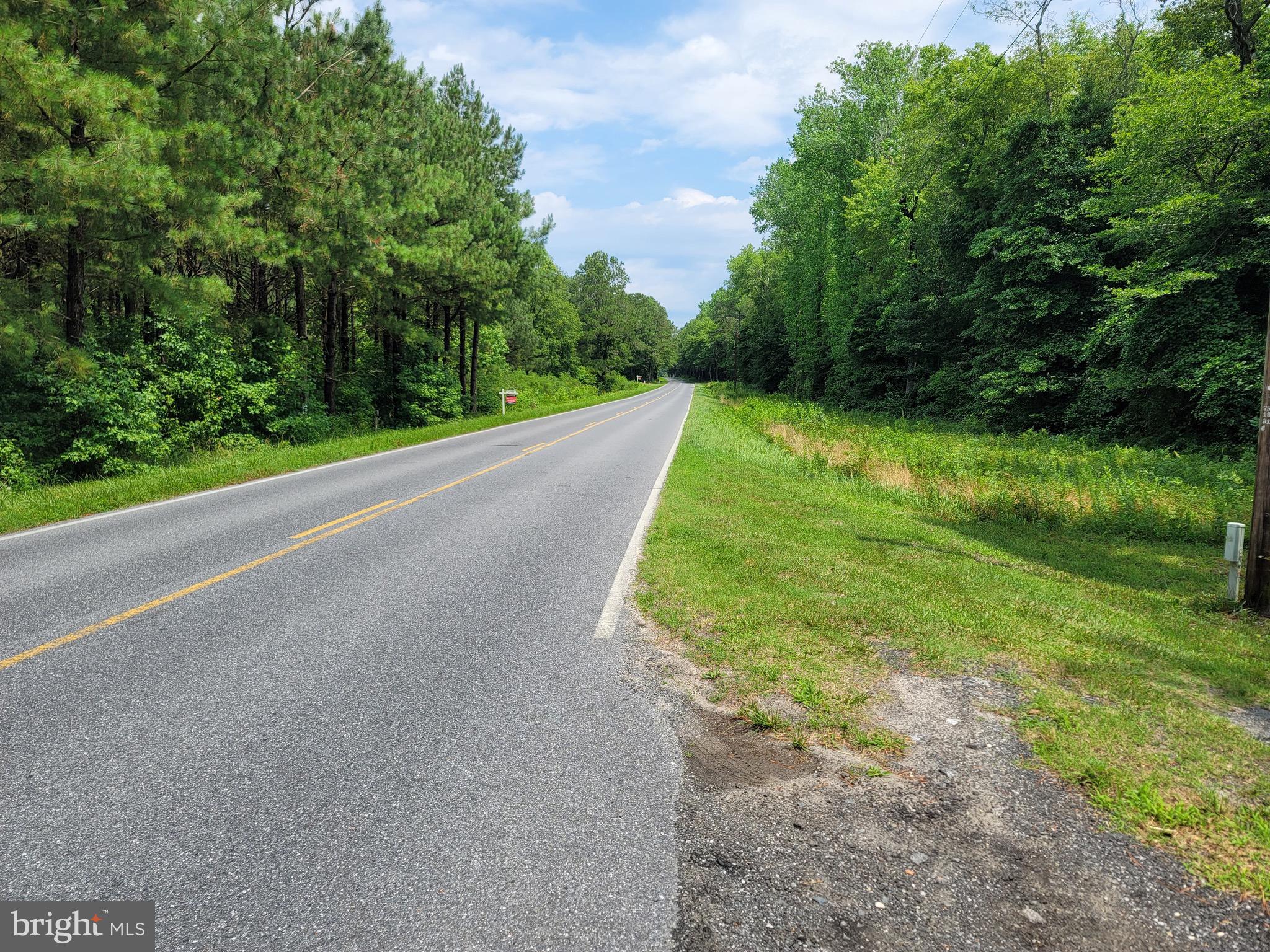 0 Sixty Sixty Foot Road Pittsville, MD 21850 - Photo 12 of 18 Sixty Foot Rd Looking North from South end
