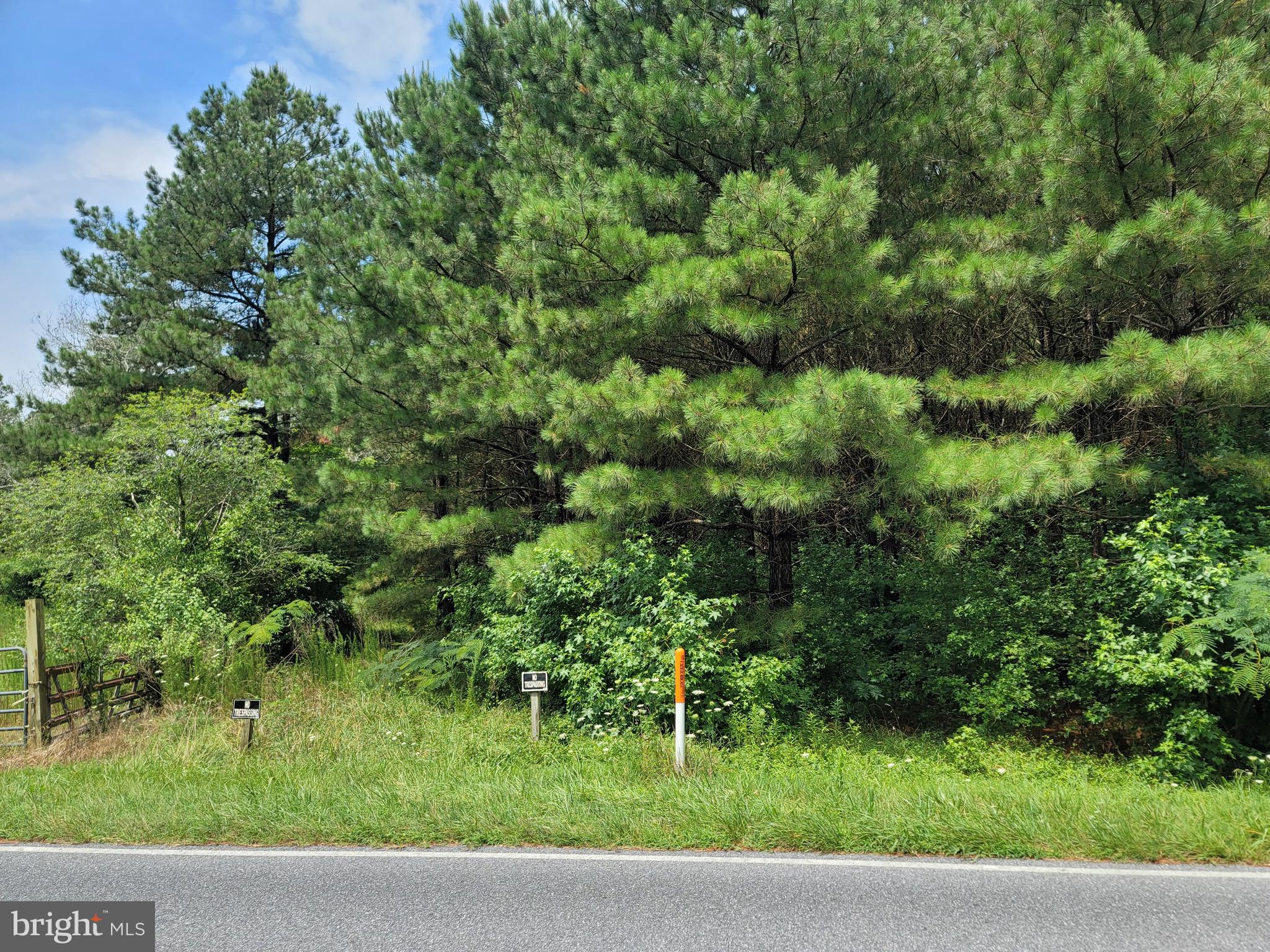 0 Sixty Sixty Foot Road Pittsville, MD 21850 - Photo 14 of 18 Southeast Corner