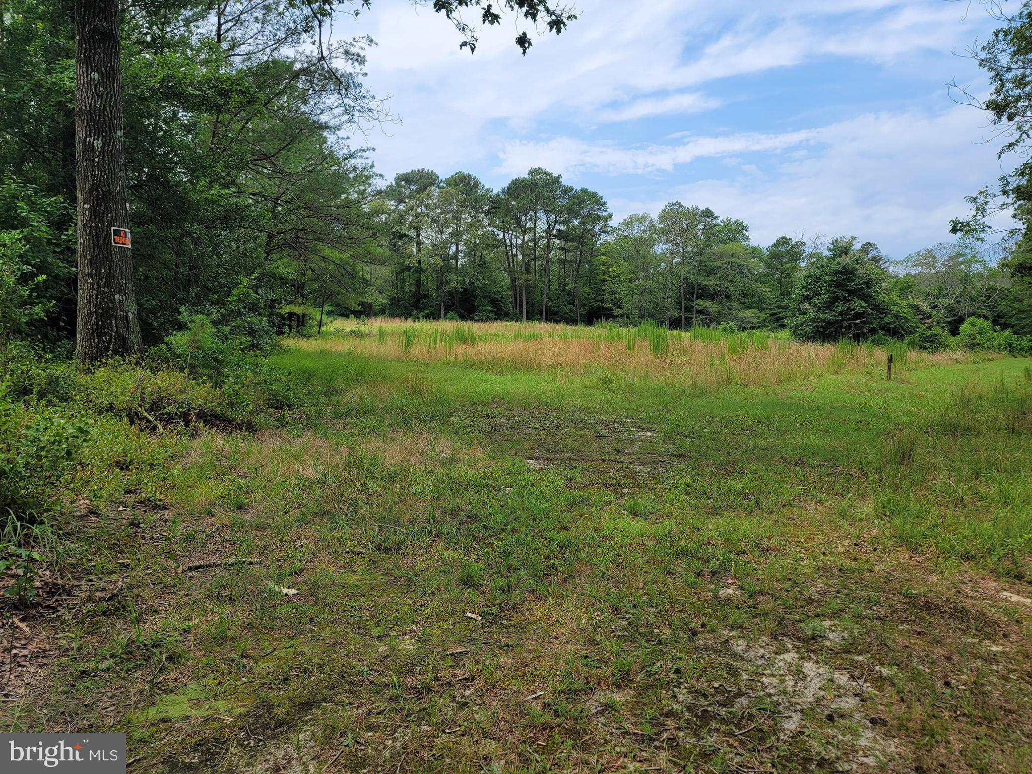 0 Sixty Sixty Foot Road Pittsville, MD 21850 - Photo 15 of 18 Back Field