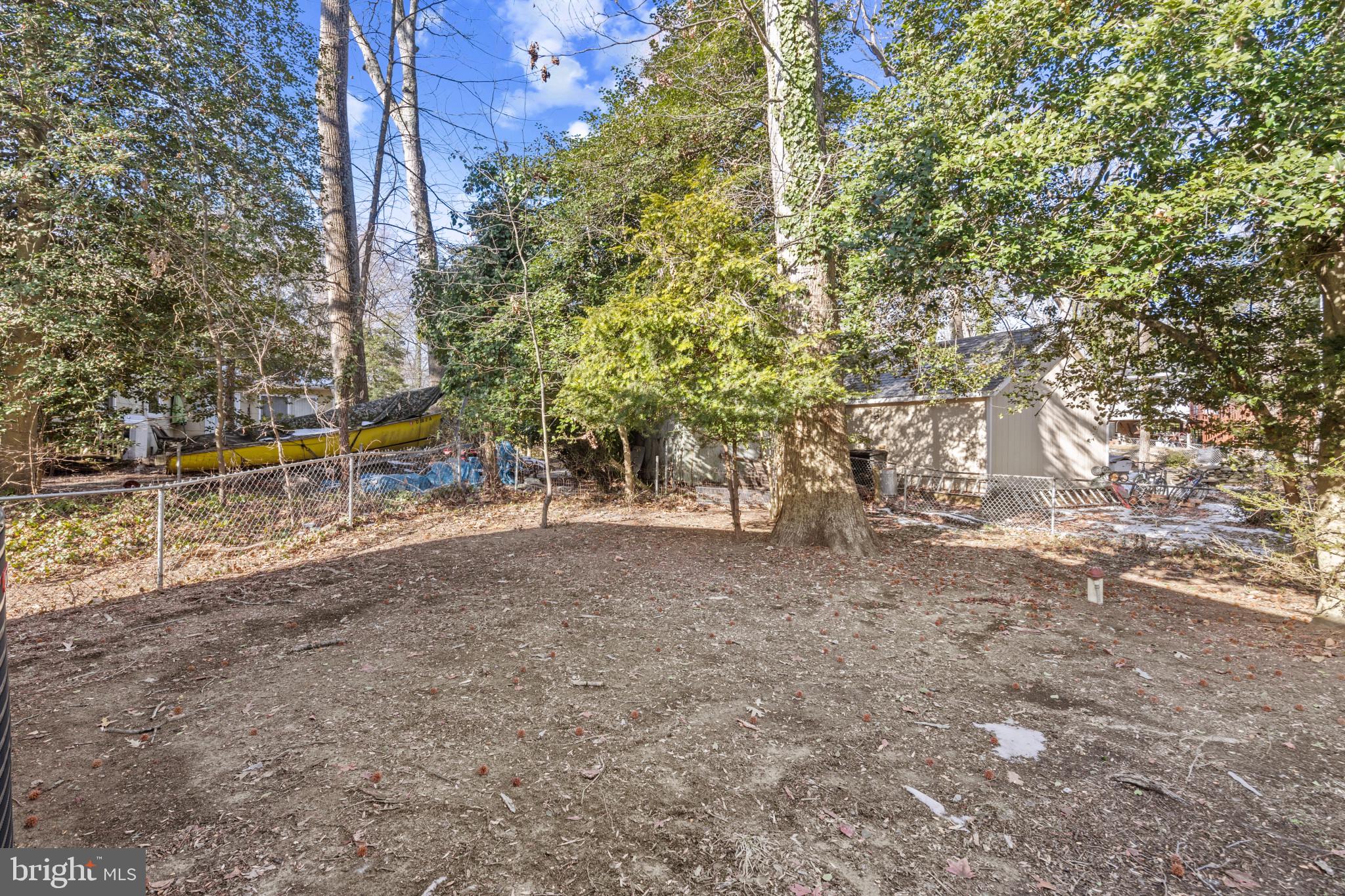 100 Oak Drive Annapolis, MD 21403 - Photo 31 of 32 a view of a yard with plants and trees