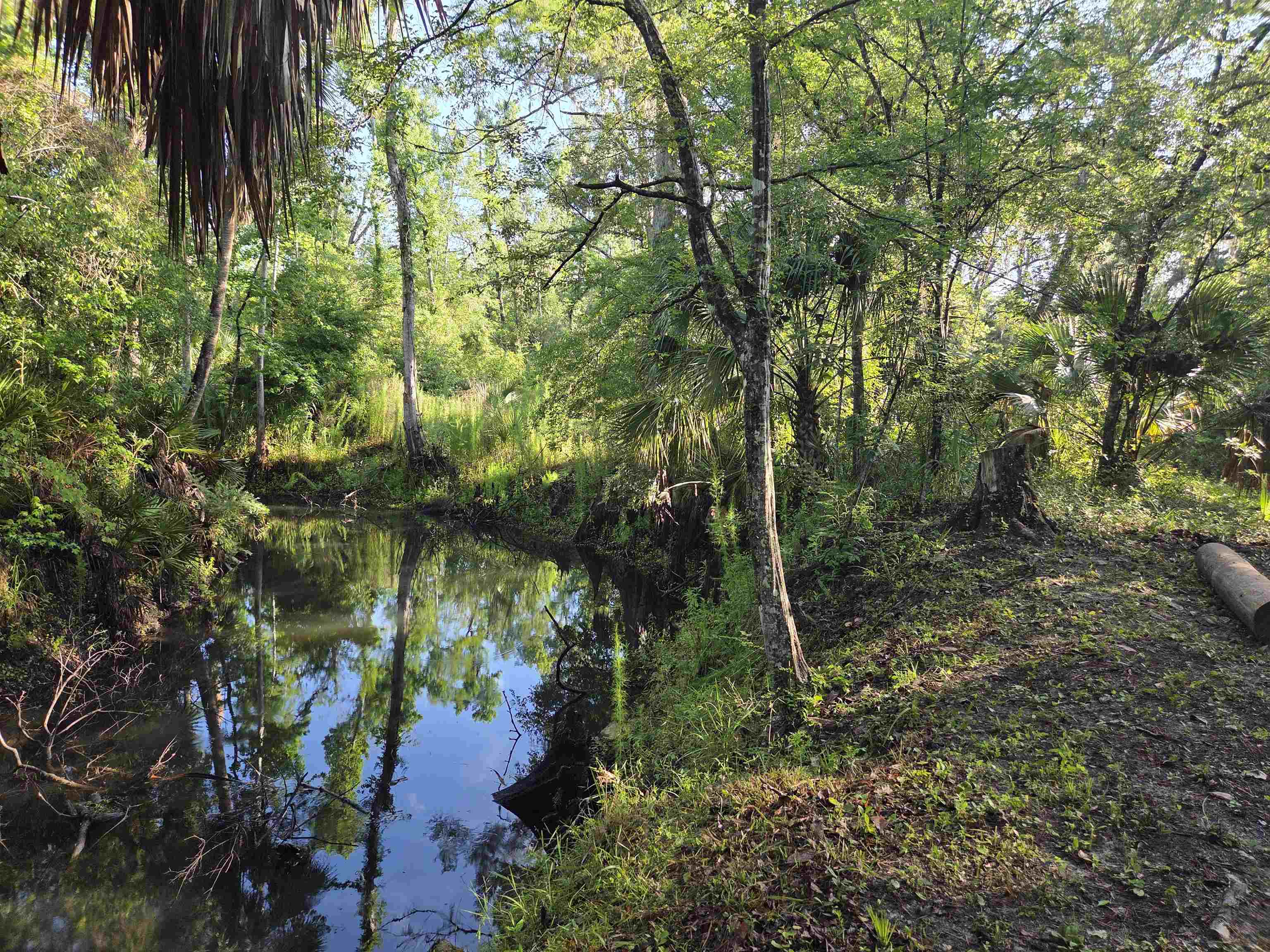 3645 Slaughter Road Perry, FL 32347 - Photo 42 of 51
